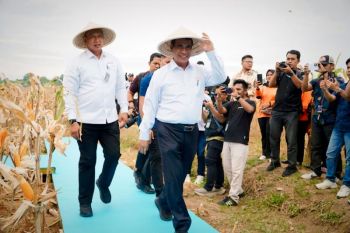 Dirut Bulog minta seluruh jajaran proaktif serap jagung produksi Polri