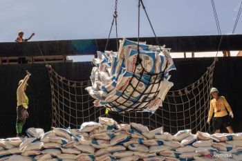 Pupuk Indonesia Sumbar salurkan 212 ribu ton pupuk subsidi pada 2025