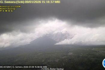 Mount Semeru erupts, sends hot cloud avalanche 4 km downhill