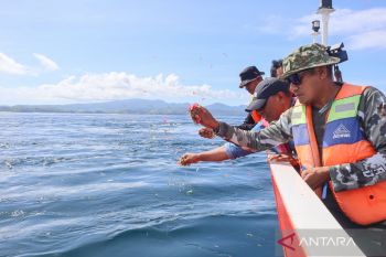 Tim SAR tutup operasi pencarian WNA Spanyol yang tenggelam di Labuan Bajo