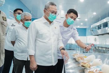 Menko Pangan meninjau standar gizi MBG dan penyaluran serta keamanan pangan di Wonosobo