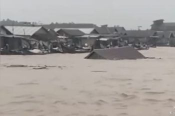 Rumah hanyut akibat banjir di Tanjabtim sudah lama kosong tidak berpenghuni