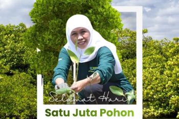 Khofifah ajak masyarakat jaga alam lewat tanam dan rawat pohon