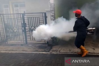 Vaksin dengue, ikhtiar baru lindungi anak-anak dari ancaman DBD