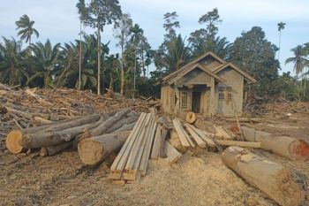 Kemenhut data 769 batang kayu hanyut untuk bangun Huntara warga Aceh Utara