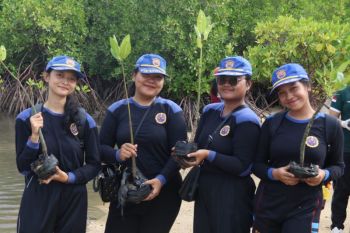 Undiksha Singaraja tanam mangrove lestarikan pesisir Sumberkima