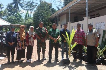 Pemkab Kuningan salurkan bantuan bibit kelapa genjah ganti komoditas sawit