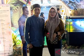 Diskan Kotim bentuk tim terpadu penanganan buaya