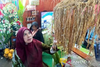 DPKP Kotim siap dukung dan pertahankan swasembada pangan nasional