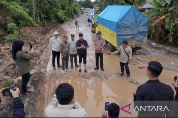 Pemprov Kaltim alokasikan Rp90 miliar bangun jalan Kubar- Mahulu