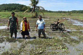Menyulam DNA Daya Saing Desa: Dari Anak Transmigran Jadi Pemimpin