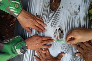 Jejak satwa liar di Lampung Timur bukan milik harimau