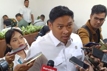 Pemerintah perluas program cetak sawah ke kabupaten-kabupaten di Papua