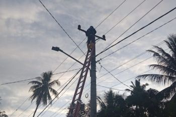 PLN Palu pulihkan jaringan listrik dampak bencana banjir dan longsor