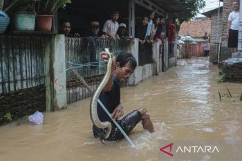 Banjir rendam permukiman warga di Kota Cilegon