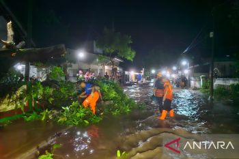 BPBD Bondowoso catat 900 rumah terdampak banjir luapan air sungai