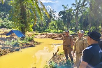 Tinjau tambang emas ilegal, Bupati Aceh Jaya: Sudah merusak hutan