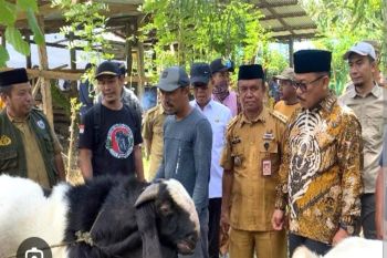 Dinas TPHP Sulbar dorong ekosistem hilirisasi peternakan secara terintegrasi