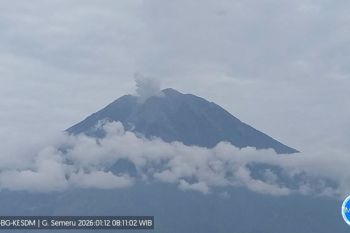 Gunung Semeru empat kali erupsi pada pagi ini
