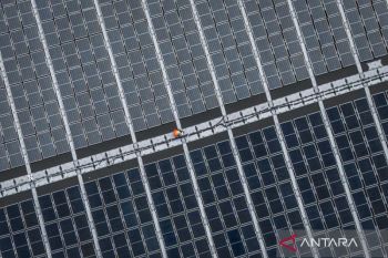 KNEKS usul Sukuk-dana sosial syariah bantu pengembangan energi surya