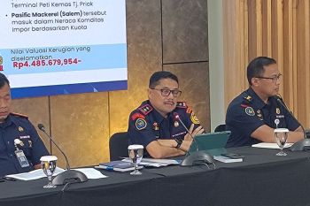 Indonesia saves US$258 thousand loss from illegal frozen fish imports