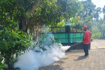 Probolinggo perkuat pengendalian penyebaran DBD