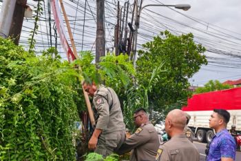 Satpol PP Denpasar bersihkan media promosi liar yang kotori fasum