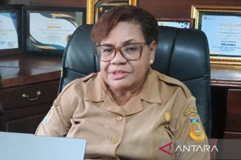 Dinas Tanaman Pangan dan Holtikultura targetkan cetak sawah 7.187 hektare di Papua