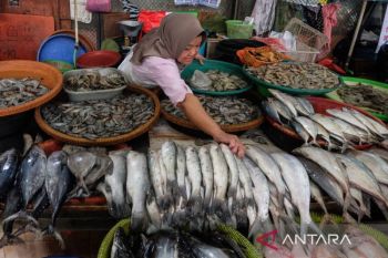 Serapan konsumsi ikan nasional tembus 7,34 Juta Ton