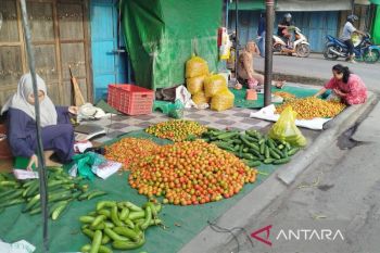 Disperindagkop Kobar: Dinamika harga pangan awal tahun 2026 terpantau aman