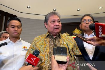 Airlangga sebut kualitas lahan food estate di Merauke Papua lebih baik dari Australia