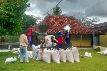 Produksi jagung Lampung naik 272 ribu ton di 2025