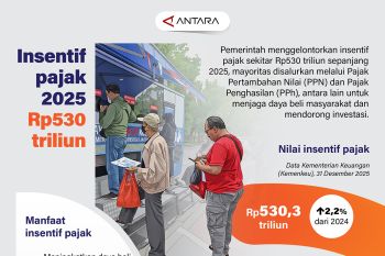Insentif pajak 2025 Rp530 triliun