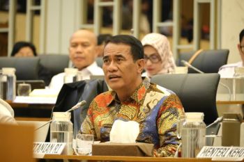 Kementan usulkan tambahan Rp5,1 triliun untuk pulihkan pertanian Sumatera