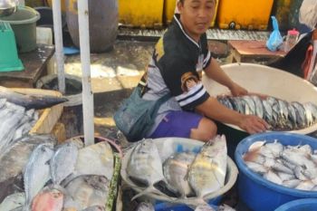 Tangkapan ikan di Lebak pada 2025 capai 6.879 ton