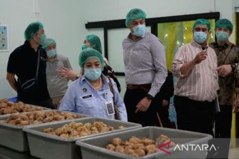 Jepang tawarkan program magang siswa SMK untuk tukar ilmu tentang MBG