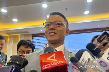 Menlu: Komitmen diplomasi RI bagi perdamaian Palestina