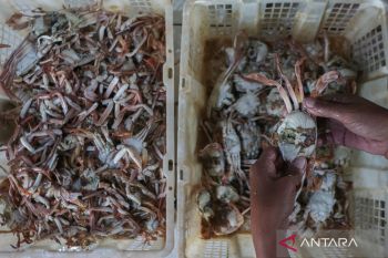 LPH KKP resmi berjalan, percepat sertifikasi halal produk kelautan