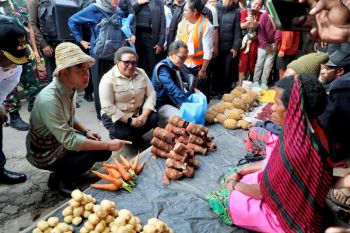 Wamendagri tegaskan komitmen percepat pembangunan di Papua