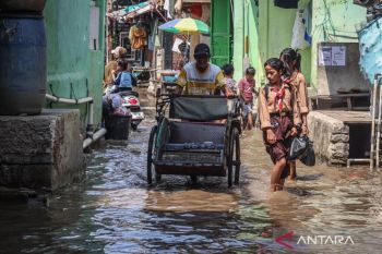 Rising seas, land subsidence put Jakarta at critical risk: minister