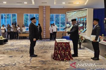 Gubernur Papua minta PT Irian Bhakti Mandiri jadi penggerak PAD