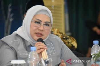 Anggota DPR desak perbaiki sistem perlindungan cegah "child grooming"