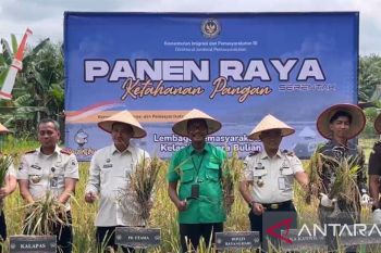 Lapas Muara Bulian bersama Kanwil Kemenkumham Jambi gelar panen raya