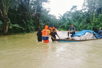 Ratusan hektare sawah di Kabupaten Lebak terendam banjir