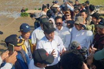 Bupati Aceh Utara usul revitalisasi 11 ribu hektare sawah ke Mentan