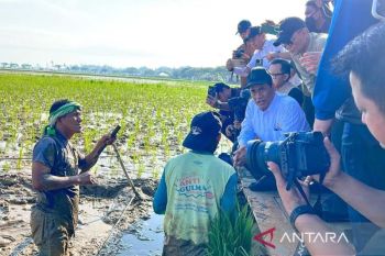 Aceh Utara usulkan revitalisasi 11.929 hektare sawah kepada Mentan