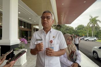 Sebanyak 4.000 hektare sawah di Sumsel siap panen meski terdampak banjir