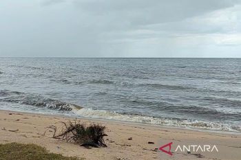Masyarakat pesisir Kotim diingatkan waspadai potensi banjir rob 19 Januari