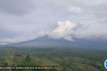 Badan Geologi sebut aktivitas vulkanik Gunung Semeru masih tinggi