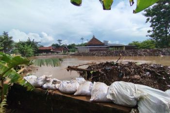Warga Golantepus Kudus gotong royong tangani tanggul jebol